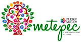 Logotipo Ayuntamiento Metepec cliente Procomi